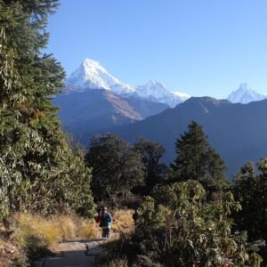 Trail of ghorepani poonhill trek during autumn season