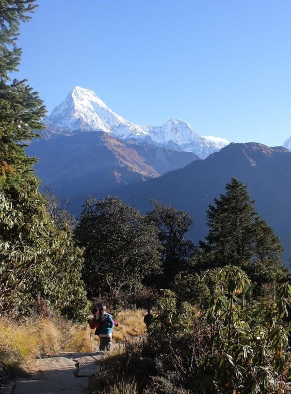 Trail of ghorepani poonhill trek during autumn season