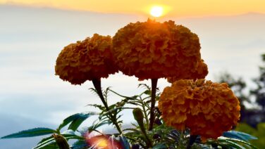 Himalayanwalkers/nagarkot-sunrise-hiking