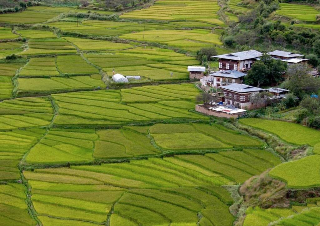 Nepal Trek Bhutan Tour with Himalayanwalkers