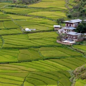 Nepal Trek Bhutan Tour with Himalayanwalkers