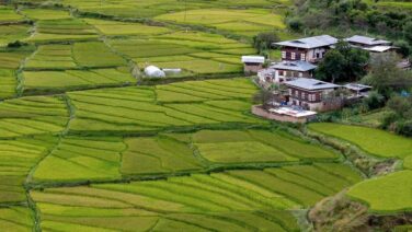 Nepal Trek Bhutan Tour with Himalayanwalkers