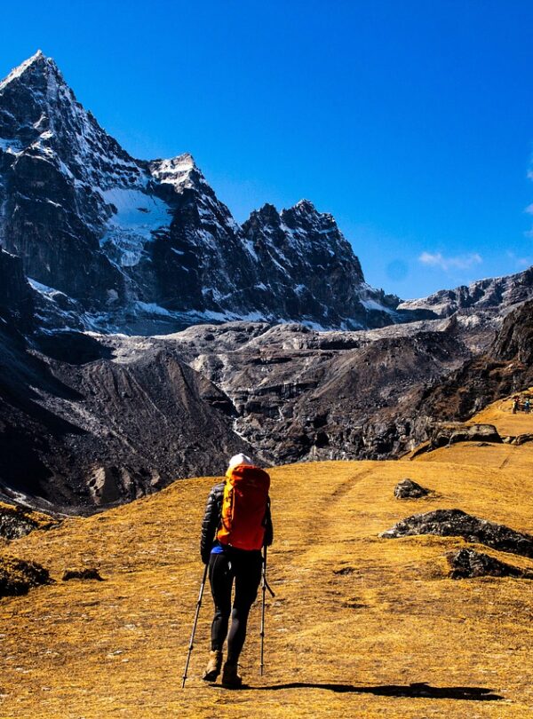 himalayan-walkers-mount-everest