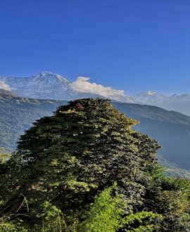 Annapurna Region