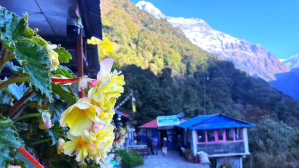 Himalayanwalkers/blog-personal-experiences