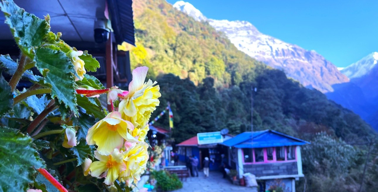 Himalayanwalkers/blog-personal-experiences