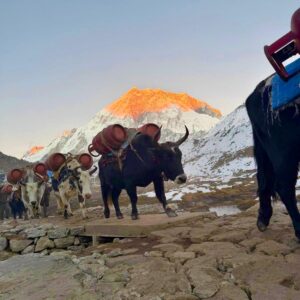 Himalayanwalkers-Everest-Base-Camp-Trek-Everestview