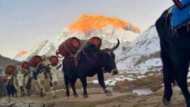 Himalayanwalkers-Everest-Base-Camp-Trek-Everestview