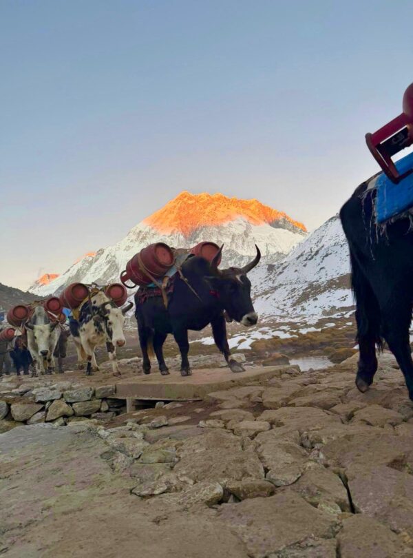 Himalayanwalkers-Everest-Base-Camp-Trek-Everestview